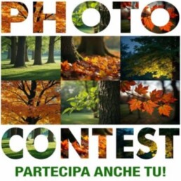 PhotoContest